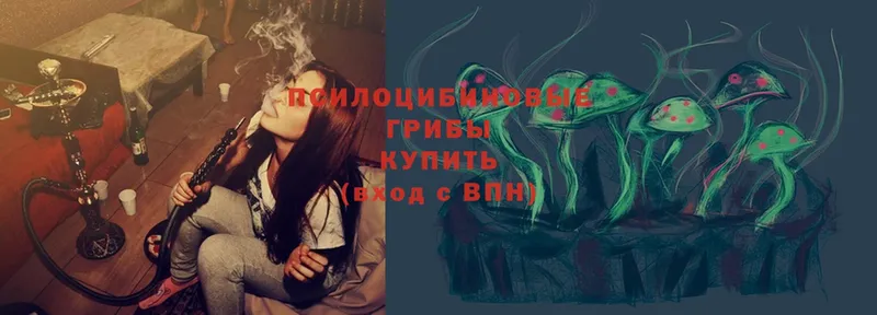 Псилоцибиновые грибы мицелий  Гороховец 